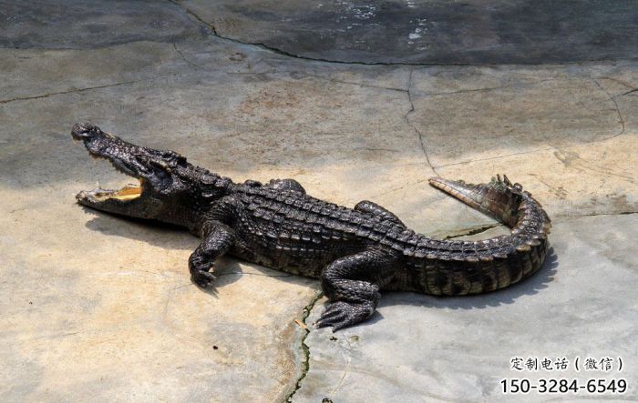 仿古鱷魚雕塑 庭院彩繪雕塑 田間小品 仿古鱷魚雕塑 庭院彩繪雕塑 田間小品