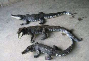 庭院鱷魚雕塑 城市古銅色雕塑 動物小品