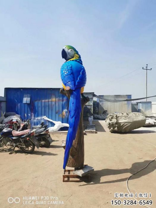 抽象鸚鵡雕塑 店門口彩繪雕塑 步行街擺件 抽象鸚鵡雕塑 店門口彩繪雕塑 步行街擺件
