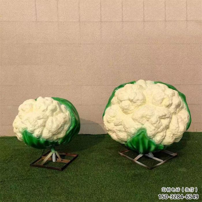 安陽(yáng)創(chuàng)意西藍(lán)花雕塑 安陽(yáng)創(chuàng)意西藍(lán)花雕塑